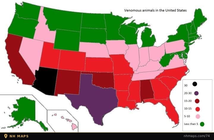 Venomous Animal Species by State